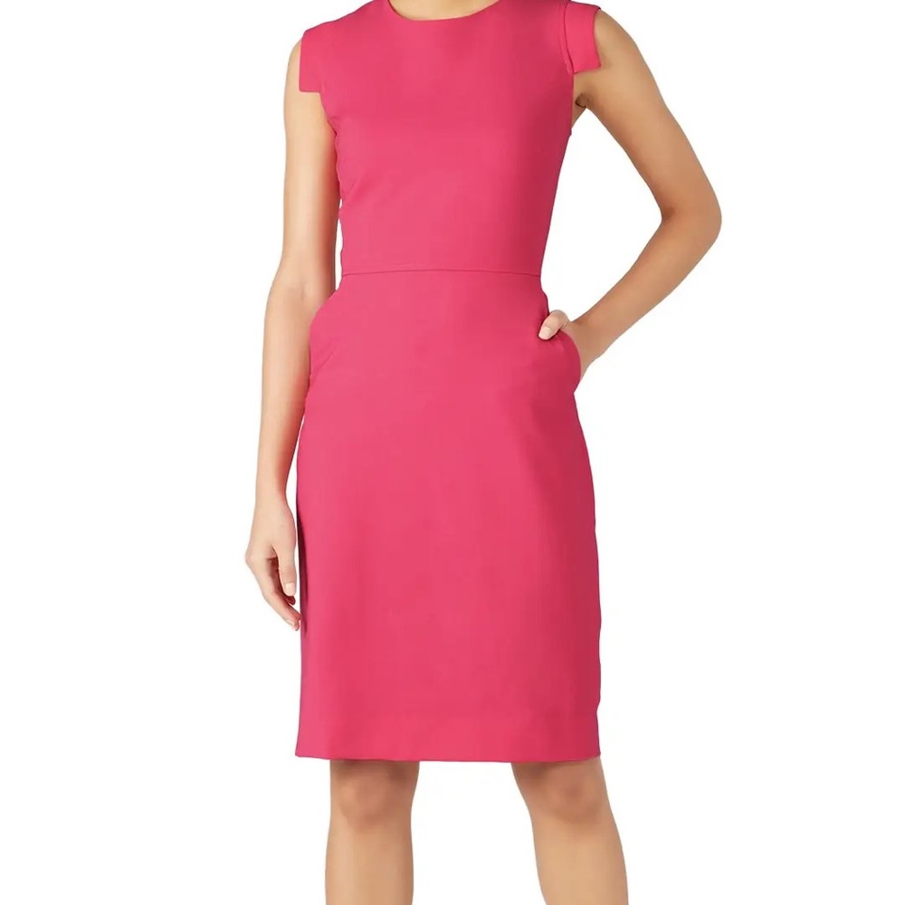 J.Crew Pink Resume Dress